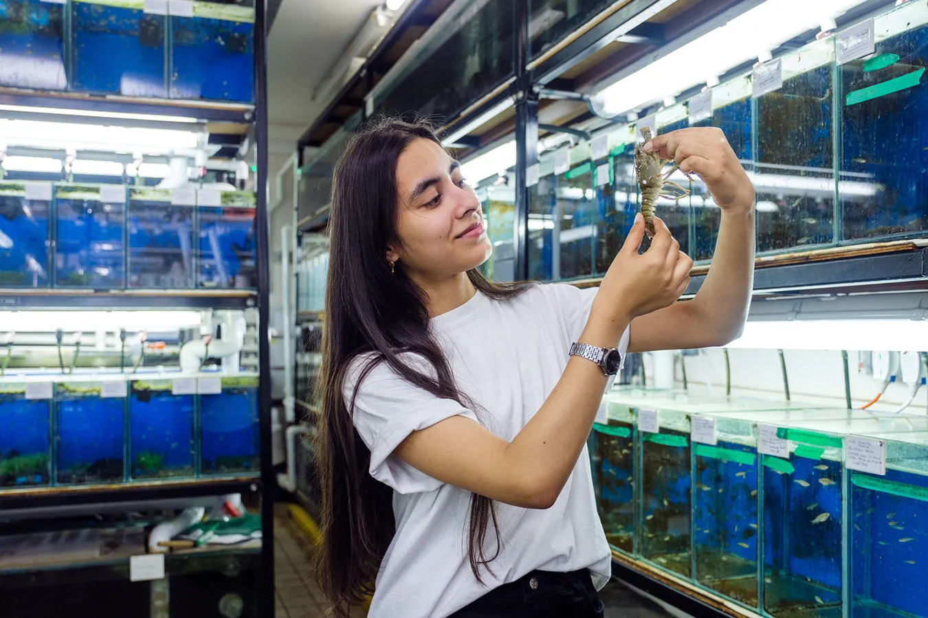 Student in aquarium room holding a specimen