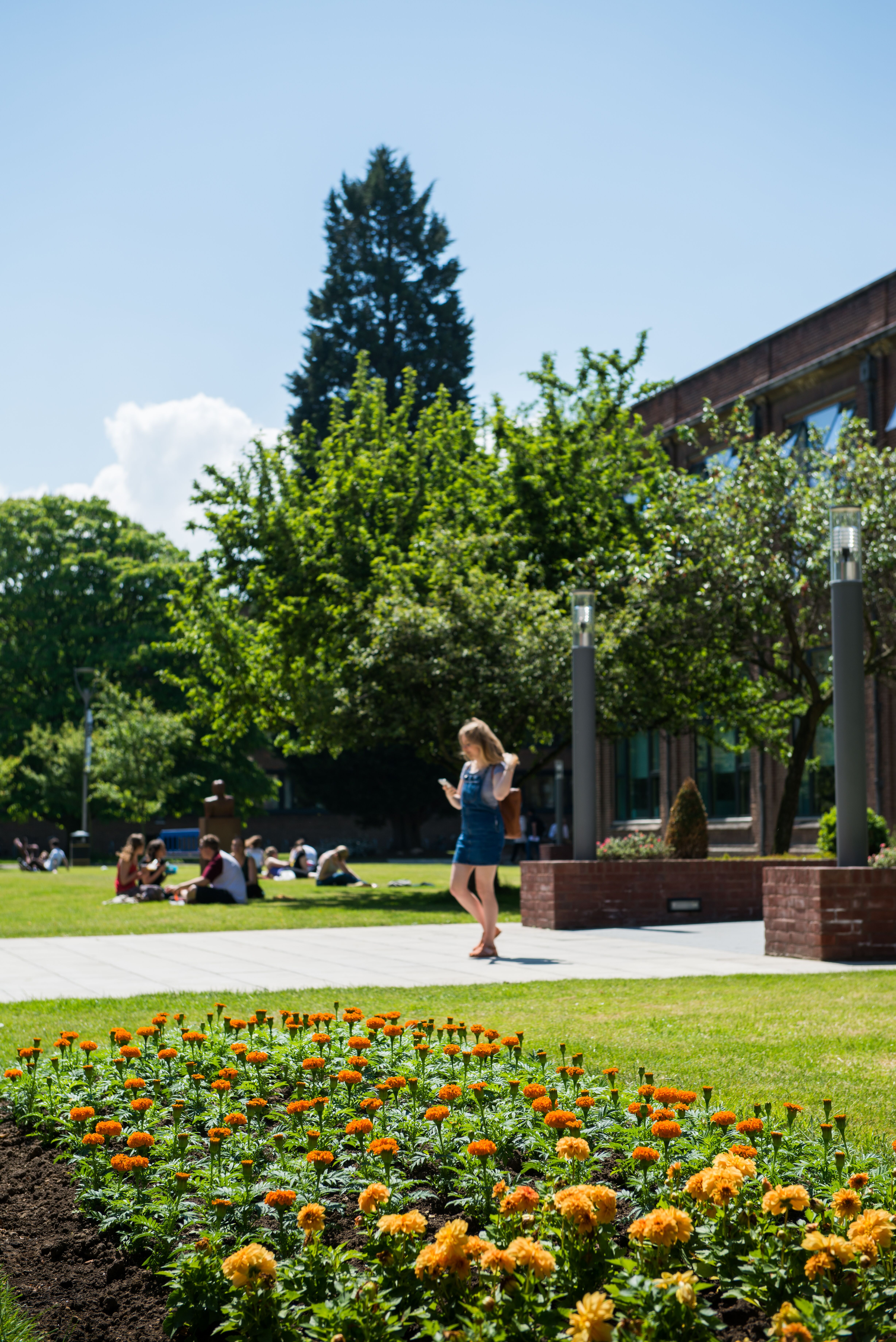 A female student walks away from the library while checking her phone, among trees and flowers