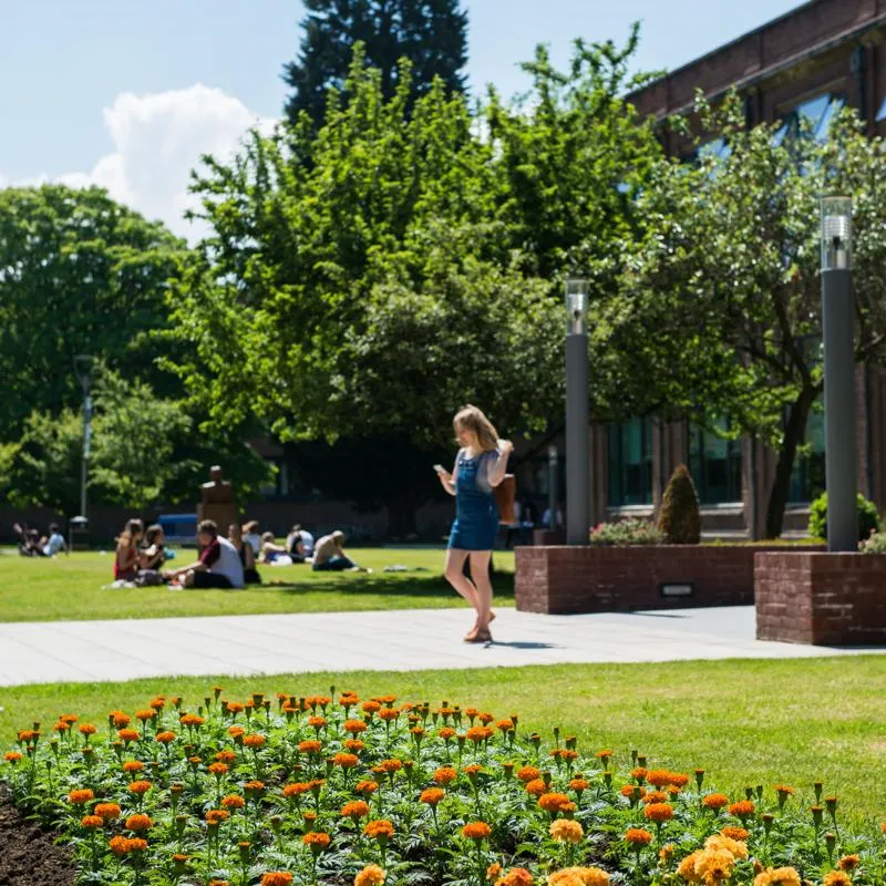 A female student walks away from the library while checking her phone, among trees and flowers
