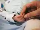 Adult and baby hands - Baby Lab