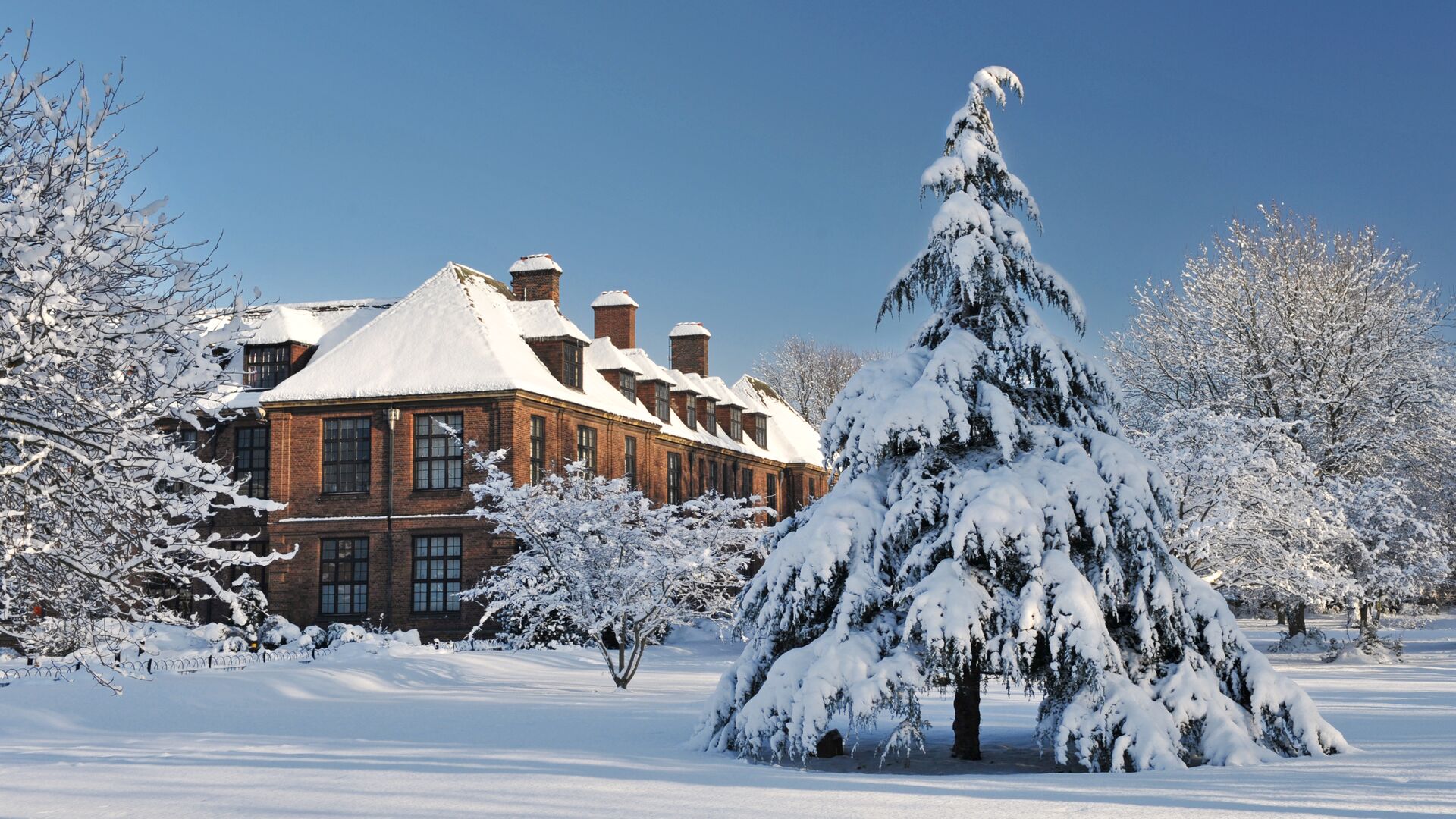 Cohen Building in the snow - Christmas venue hire