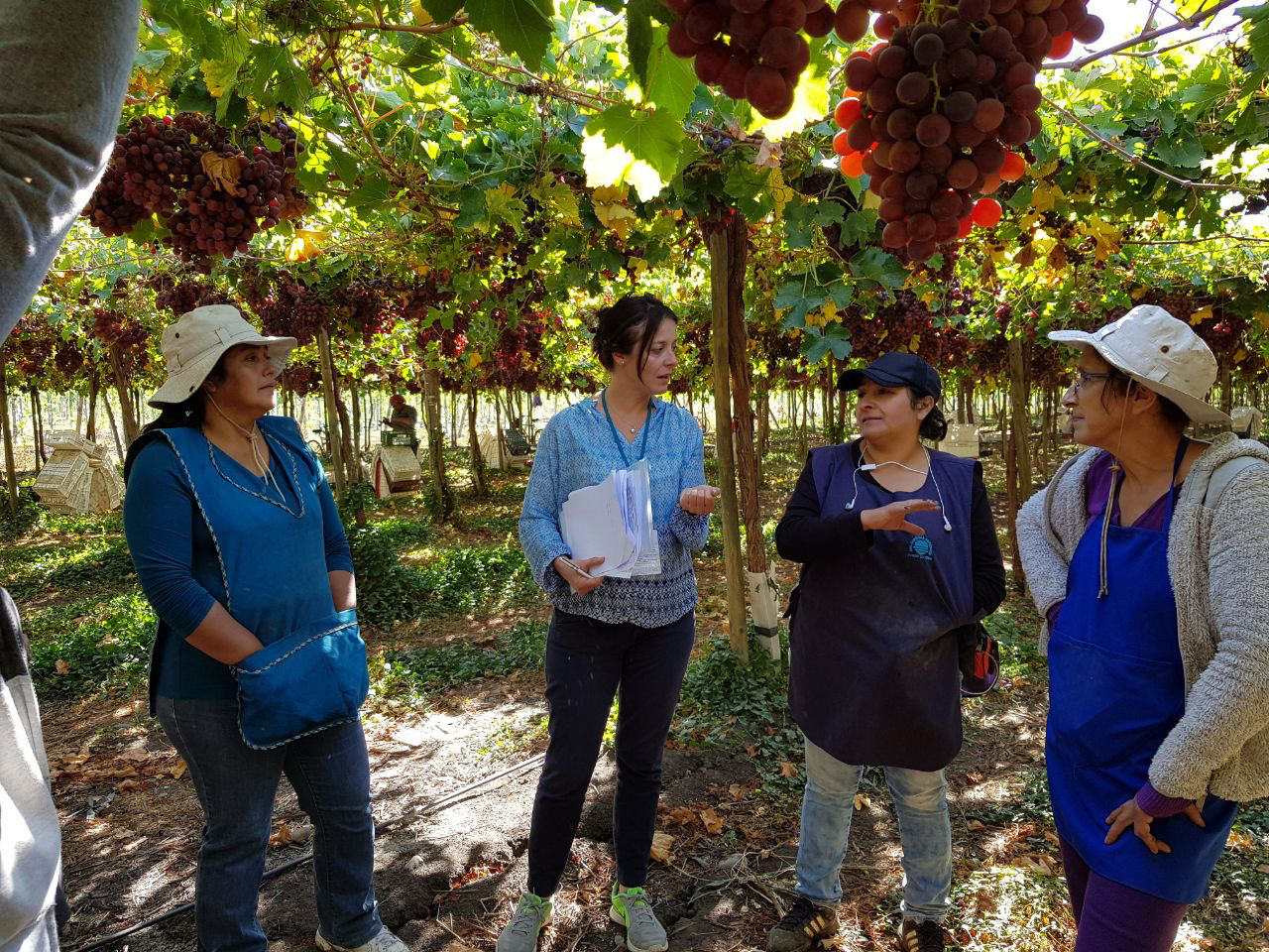 Cristina Talens talking to farmworkers in Peru