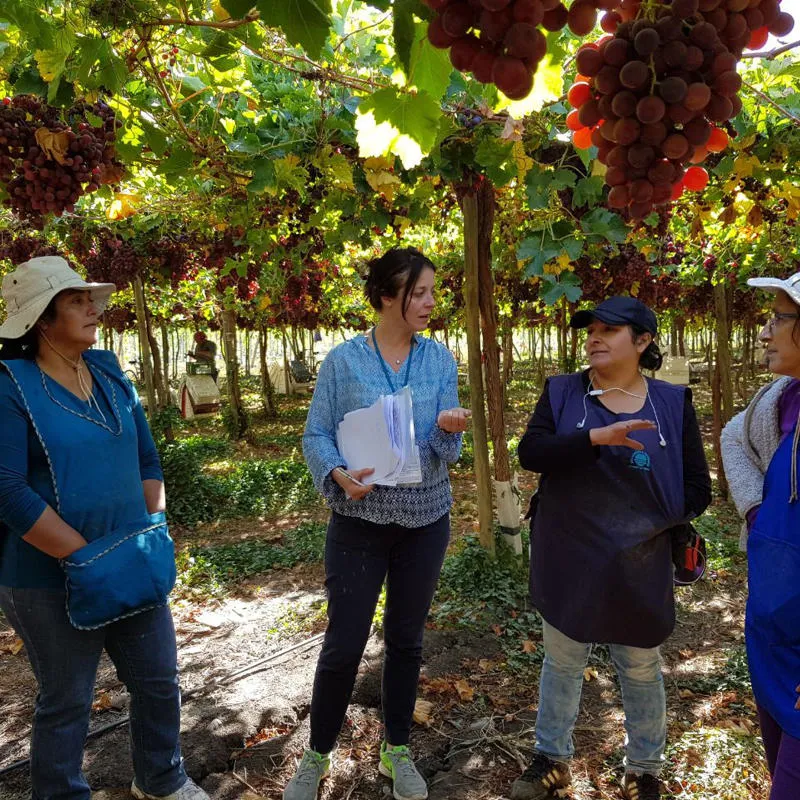 Cristina Talens talking to farmworkers in Peru