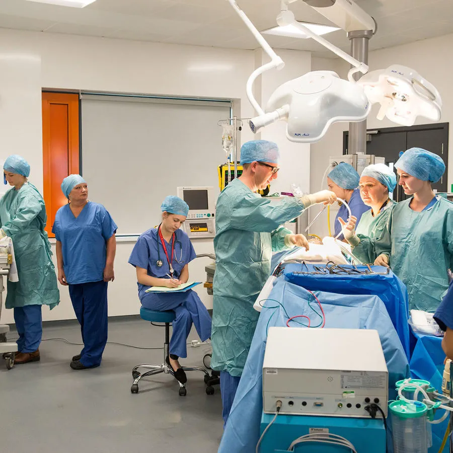 Students at a practical session in the Allam Medical Building