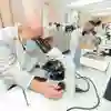 Zoology and Biological Sciences students in a Lab at the University of Hull