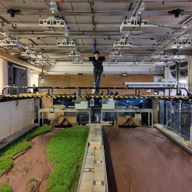 Total Environment Simulator | University of Hull