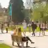 Students walking around a sunny campus with two people sitting on a bench in the foreground