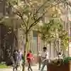 Students outside of a tall redbrick university bulding with trees and grass in the foreground