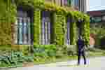 Great White Way with Virginia Creeper on Chemistry Building