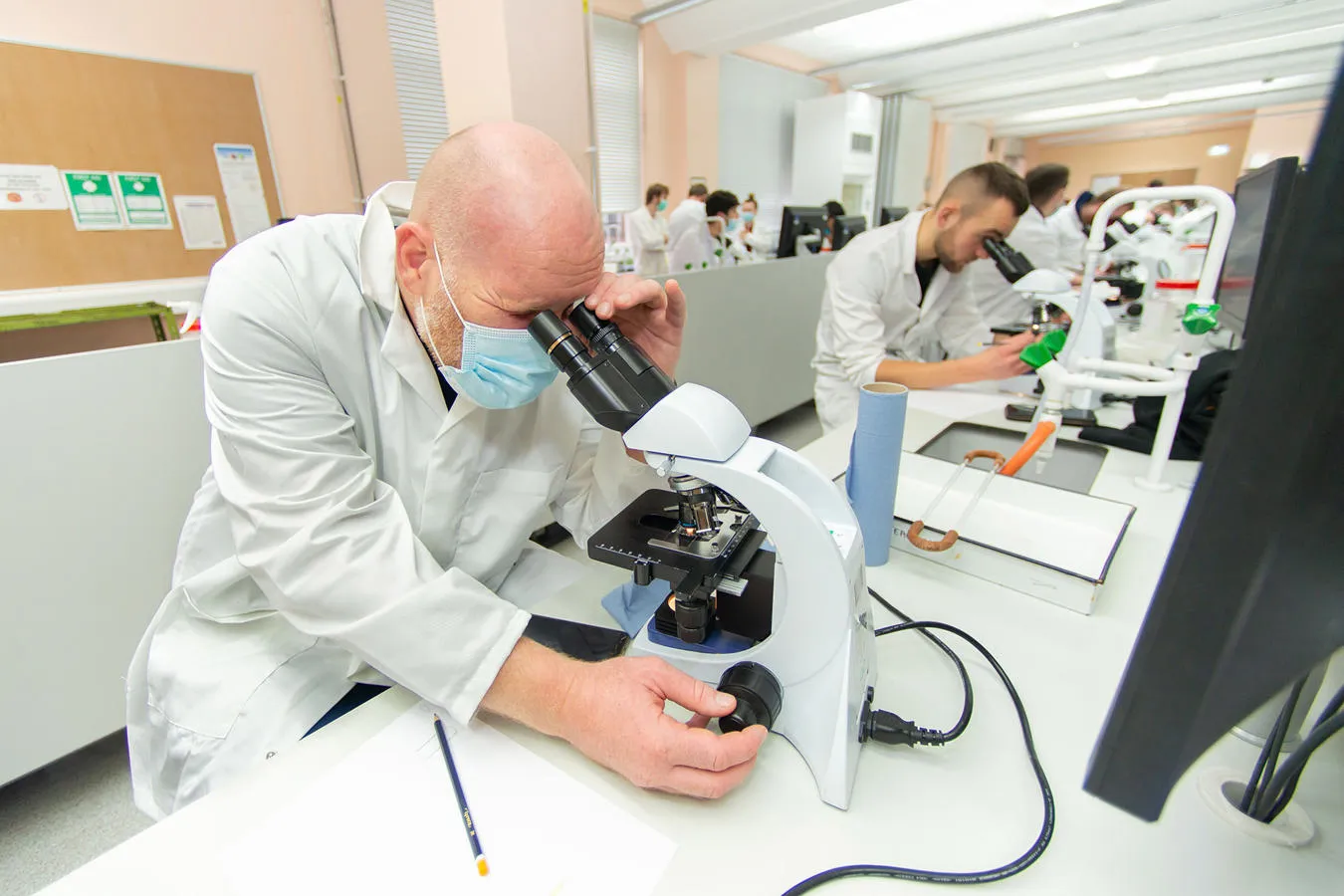 Students using microscopes in the Hardy Teaching Lab