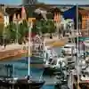 Boats moored in Hull Marina on a sunny day