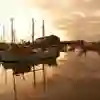 Boats in the Hull Marina at sunset