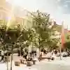 A busy street in Hull city centre