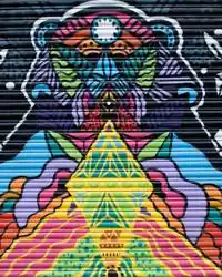 Humber street shop shutter graffiti art