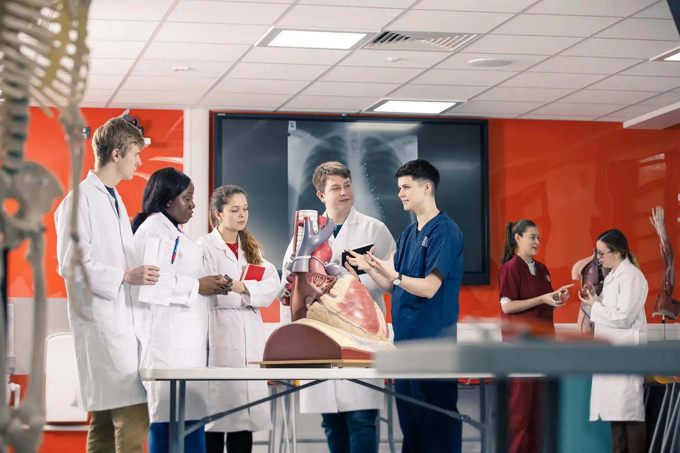 Students in white lab coats look at an anatomical structure