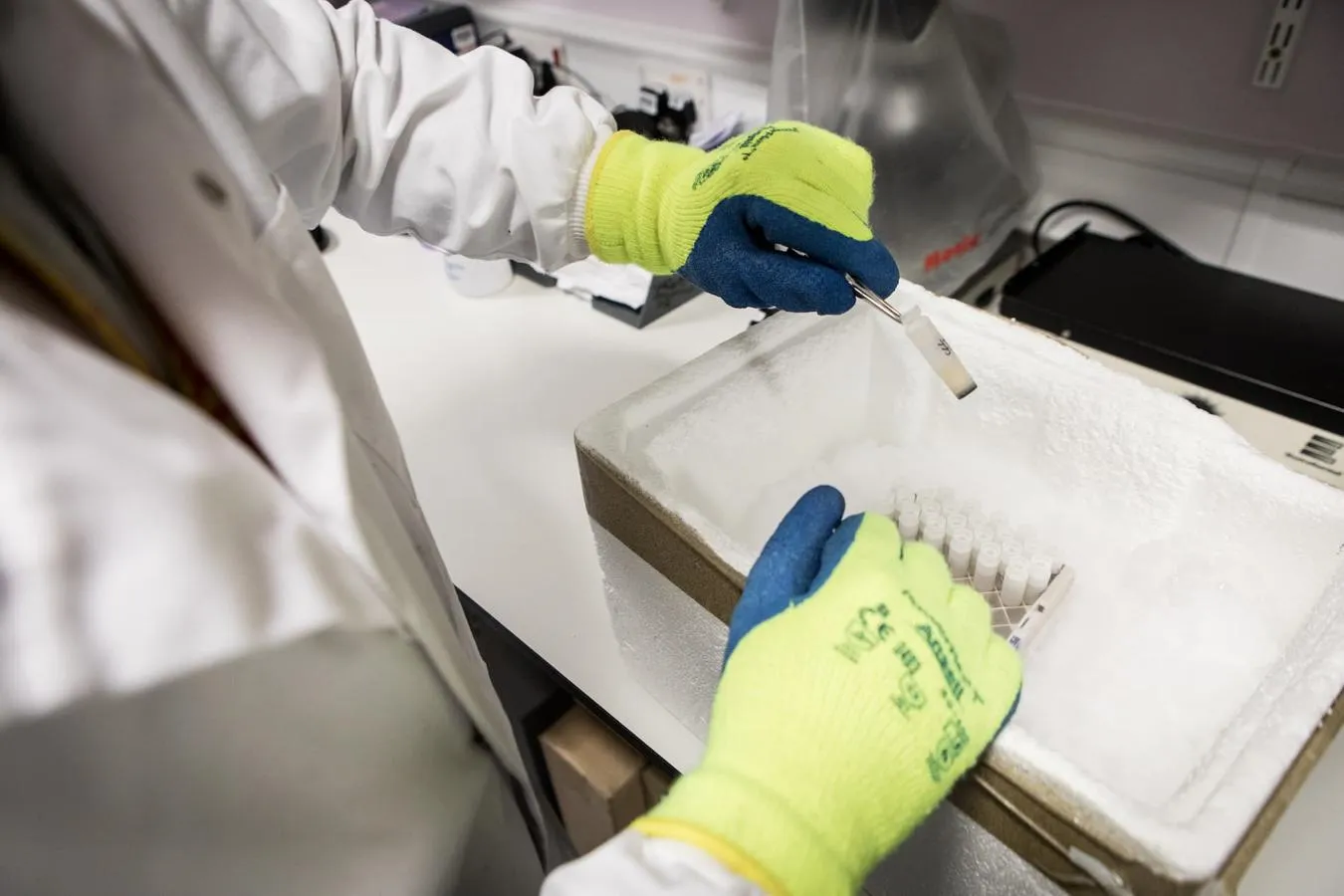 Lab work at the University of Hull