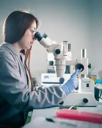 Biomedical Sciences student in the Research Lab at the University of Hull