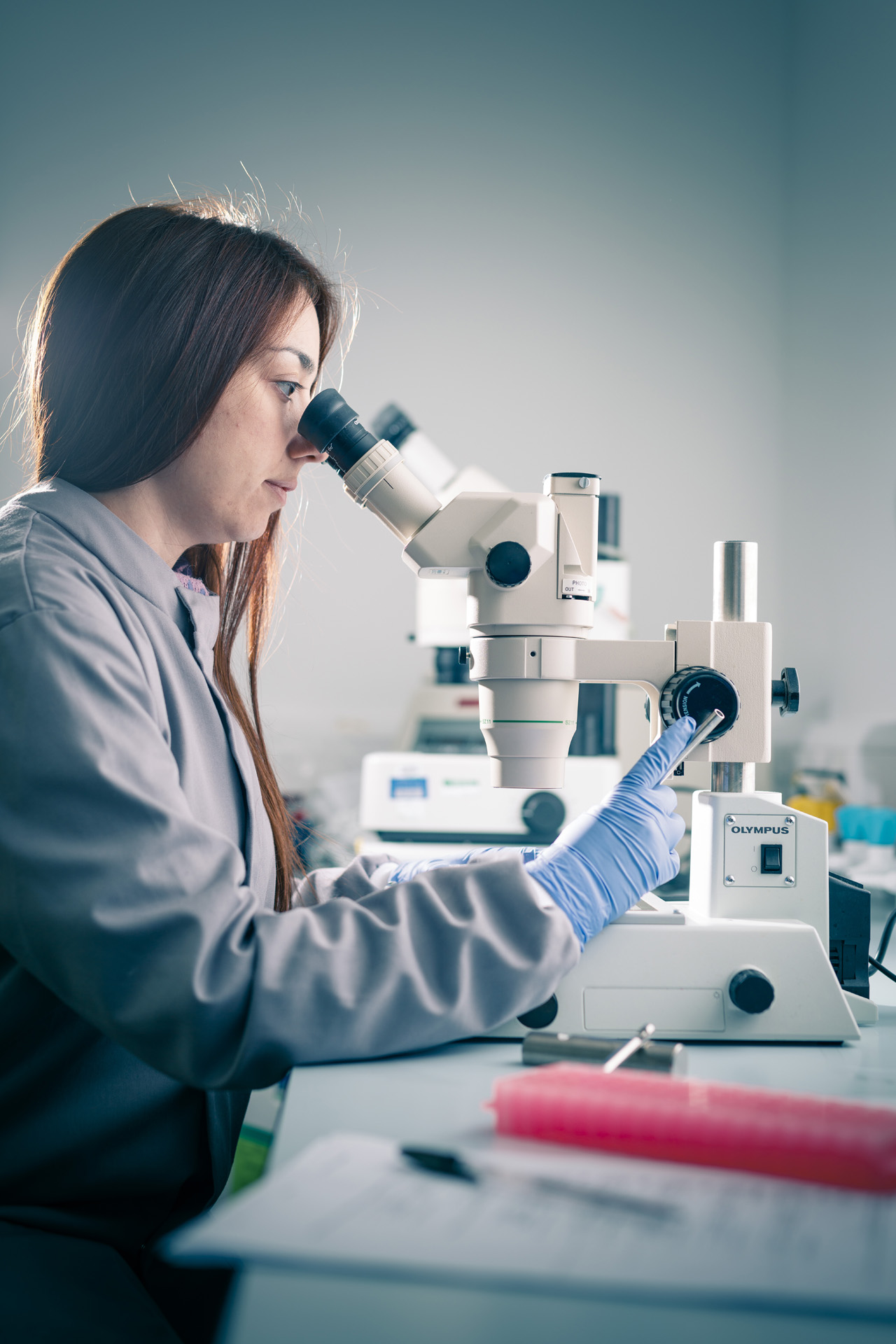 Biomedical Sciences student in the Research Lab at the University of Hull