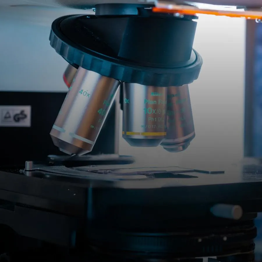 Microscope to represent Professor David Allsup's research.