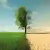 A tree is depicted in two extreme environments