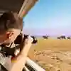 Student taking a photo of a herd of elephants