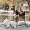 Emergency workers wade through floodwaters with a rescue boat