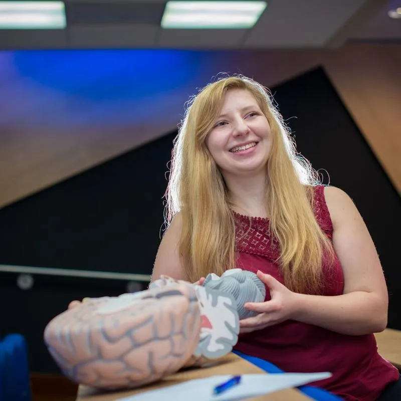 Student sat at table with a model brain
