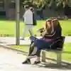 A student and his mum sit on a bench on campus on a sunny day looking at an Open Day guide