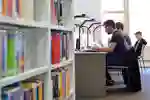 Students Working on laptop