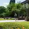 A female student walks away from the library while checking her phone, among trees and flowers