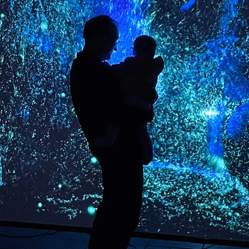 A silhouetted figure before a glowing projection screen of watery images 