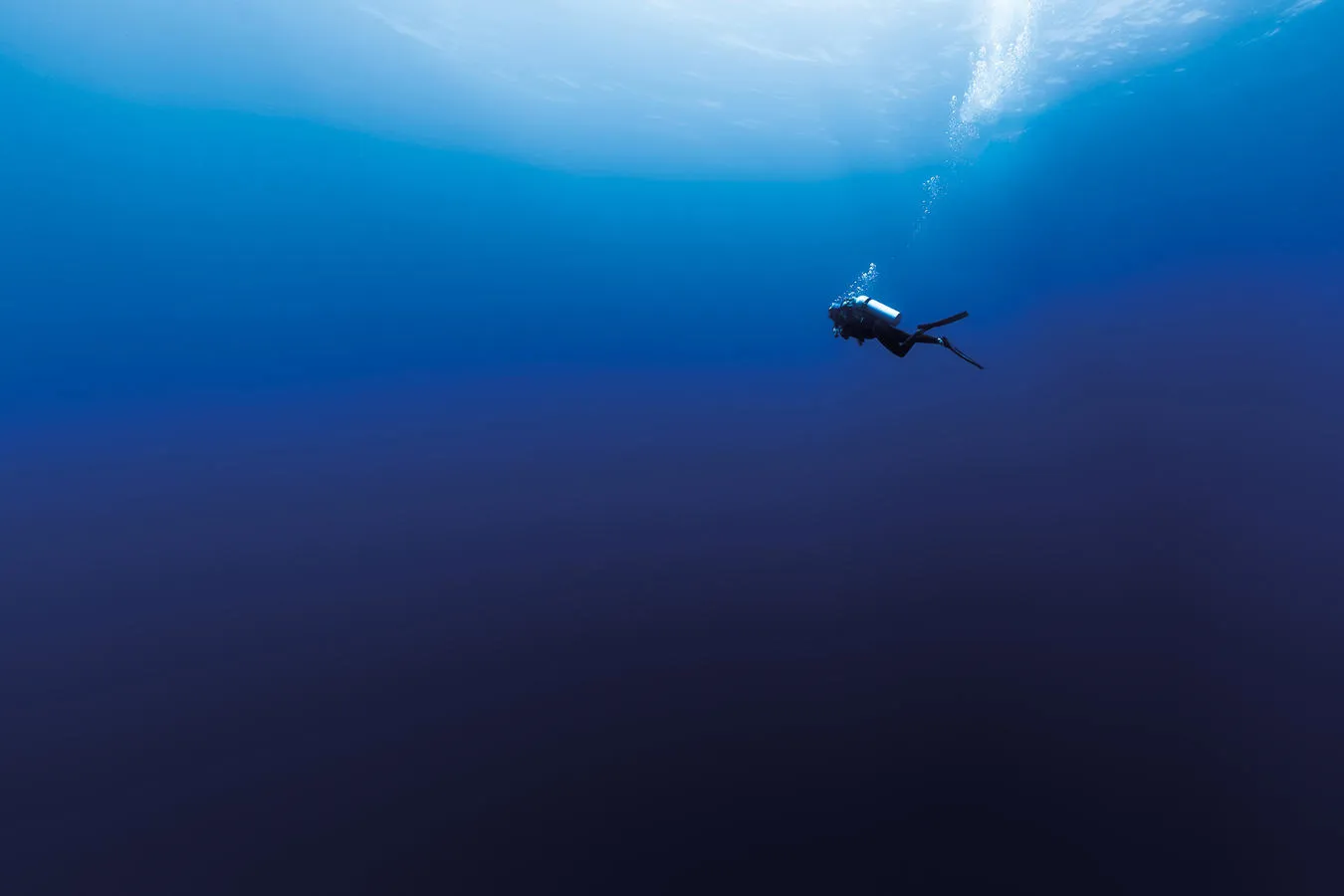 scuba diver swimming in the ocean 
