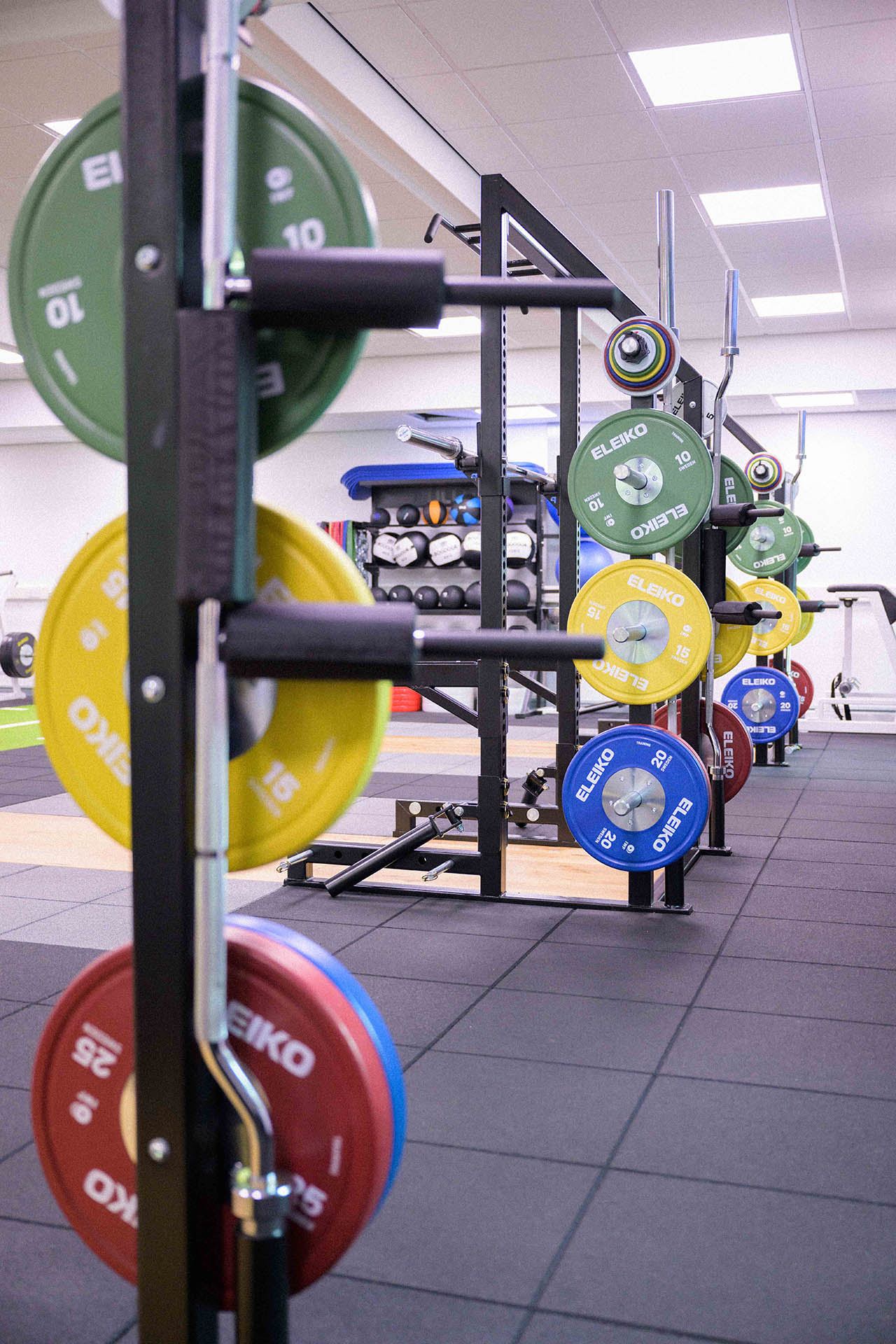 Colourful weight plates stacked on racks in the Strength and Conditioning Suite on campus.