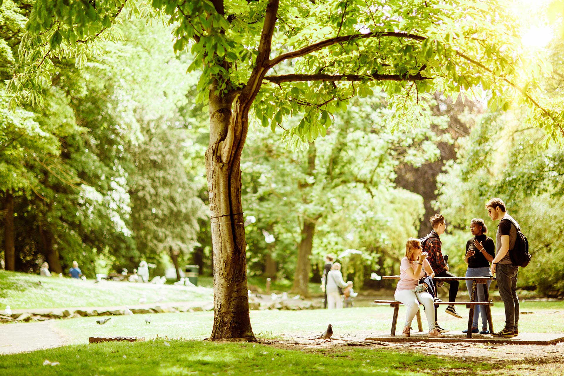 a group of students sitting on a bench underneath a tree in the sunshine