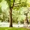 a group of students sitting on a bench underneath a tree in the sunshine