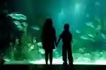 two childen stood in the foreground with a large aquarium fishtank  in the background