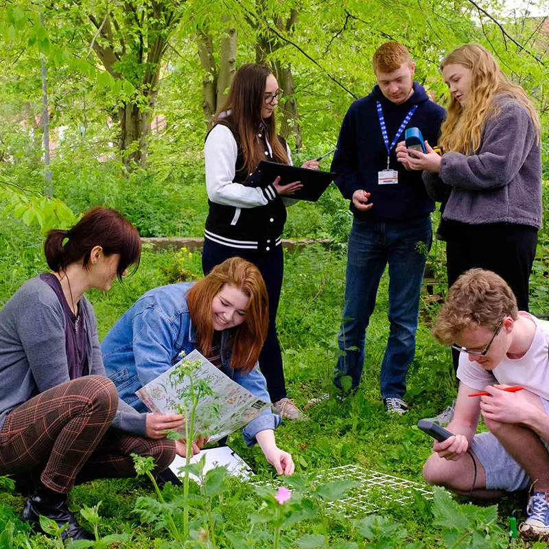 Teachers and students on fieldwork in a green environment