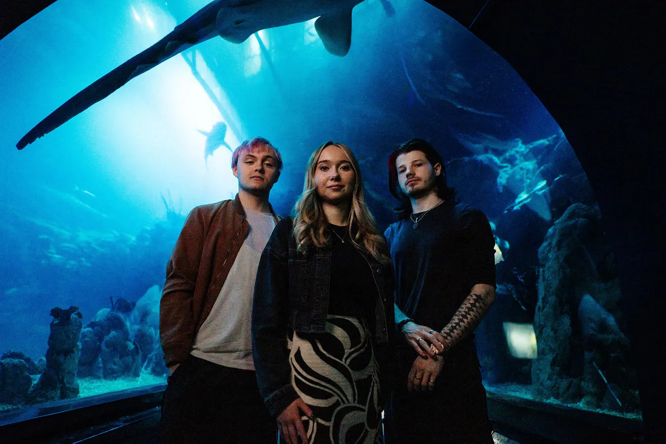 Three students stand confidently in the tunnel at Hull's aquarium, The Deep, with sharks swimming overhead