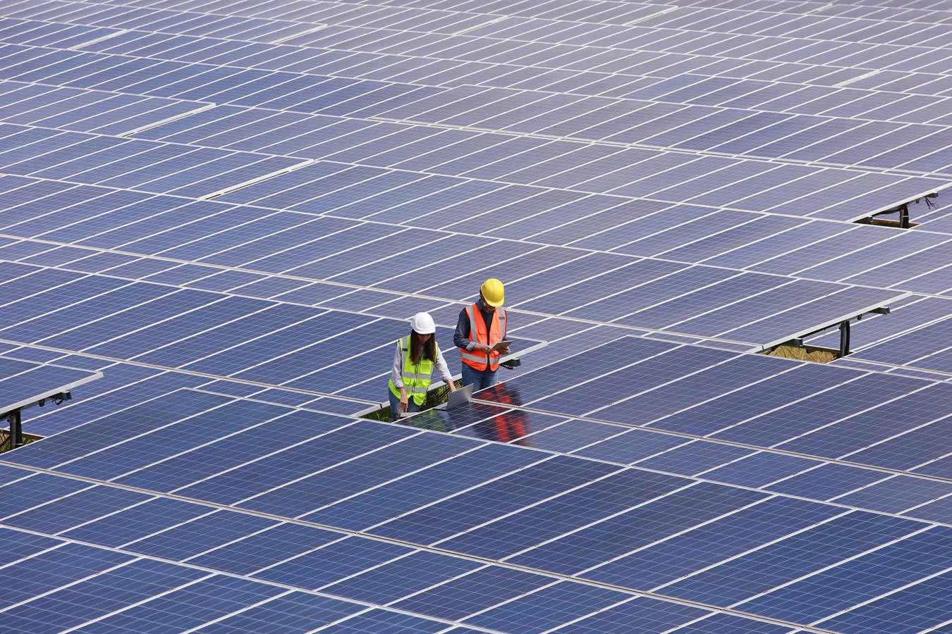 Two workers in hi-vis in a field of solar panels