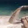 Waste pipe vents in water