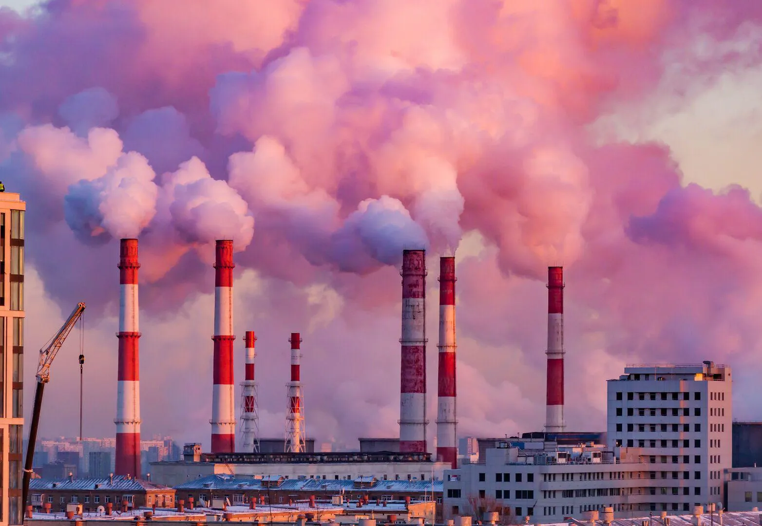 Plants emitting smoke