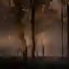 A fire blazes in the middle of a forest