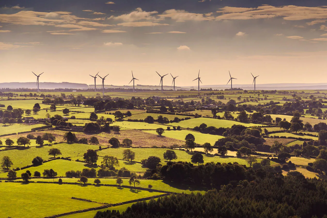 Wind turbines behind open fields