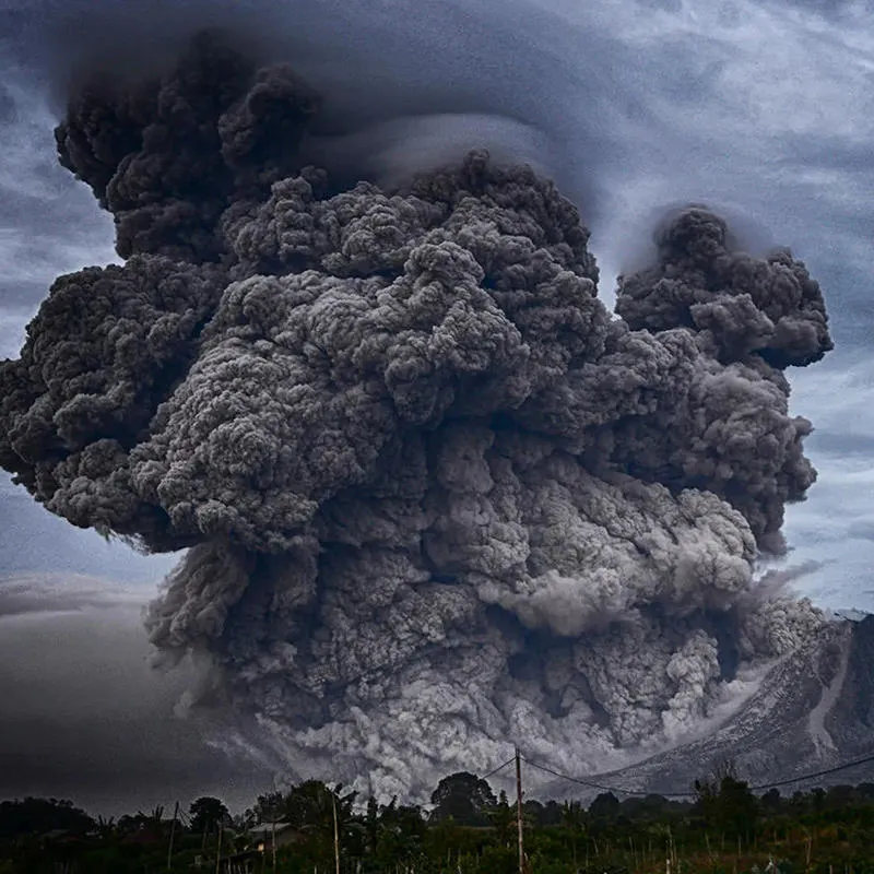A swirling cloud of volcanic ash above a forest