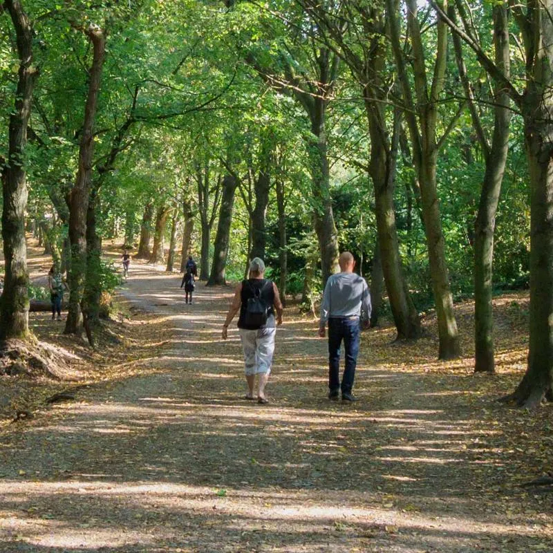 Two adults walking in a wooded area