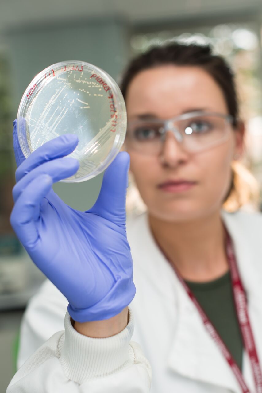 A student holding and looking through a petri dish