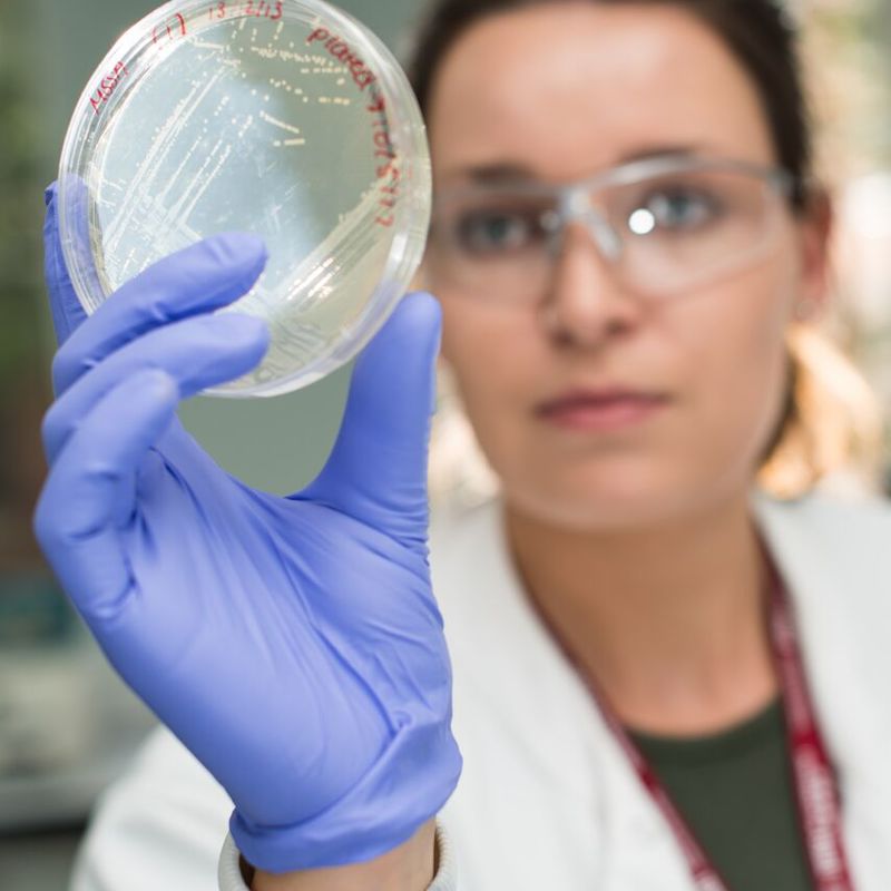A student holding and looking through a petri dish