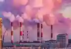 Plants emitting smoke