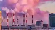 Plants emitting smoke