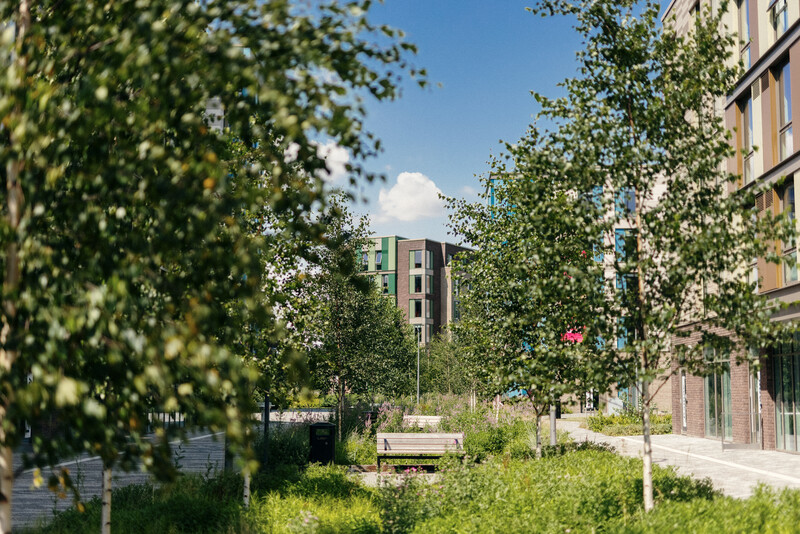 Westfield Court